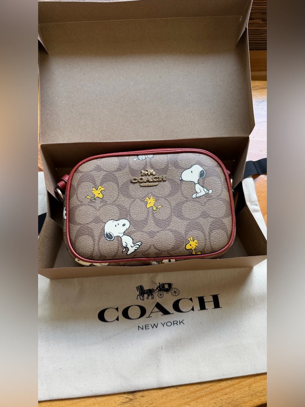 ♡ Coach X Peanuts Mini Jamie Camera Bag ♡